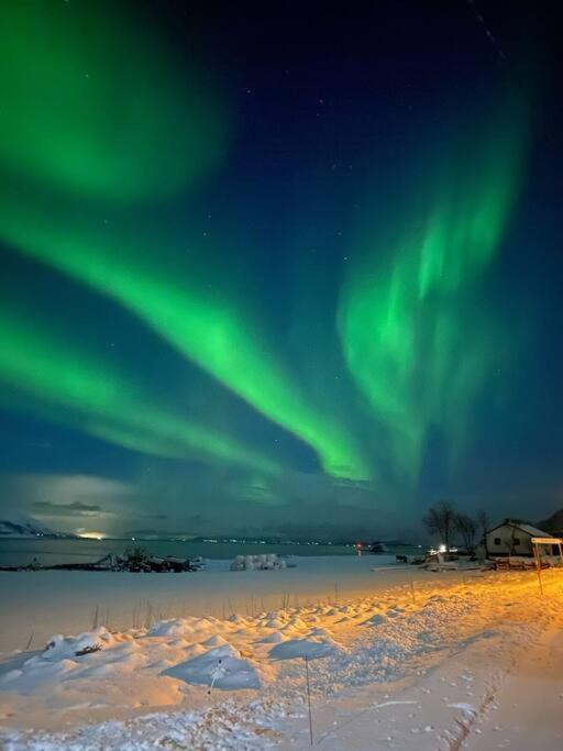 Cozy House - Stronstad @The Start Of Lofoten Stronstad i Vesteralen Exterior foto